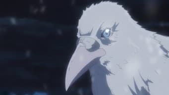 Episódio 1