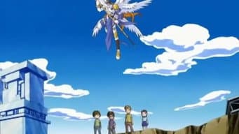 Os Protegidos de Angemon