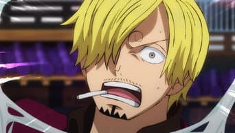 Em Apuros! A Aranha Atrai Sanji!
