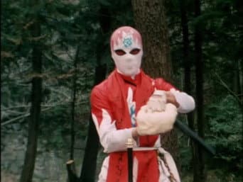 A Vingança do Kung Fu