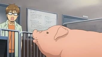 Episódio 9