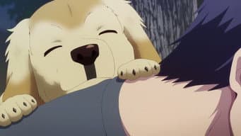Episódio 1