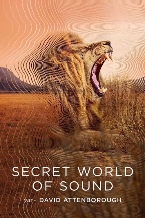 O Misterioso Mundo dos Sons com David Attenborough