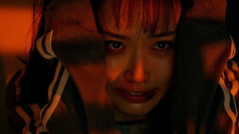Episódio 8