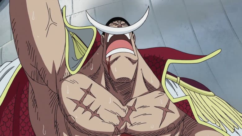 Rumo à Fase Final! O Ás na Manga para a Virada do Barba Branca!