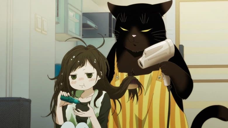 O Gato Prendado é Popular