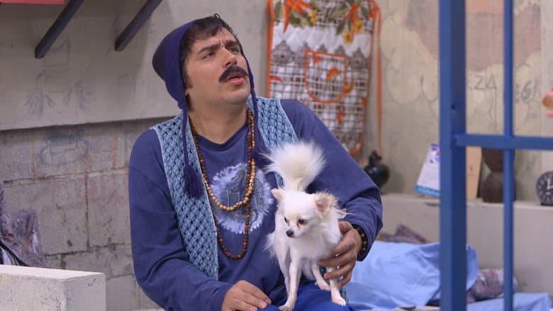 A Sarna de César