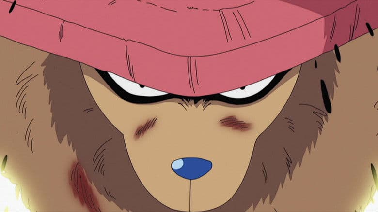 A Akuma no Mi do Tipo Zoan! As Sete Transformações de Chopper!