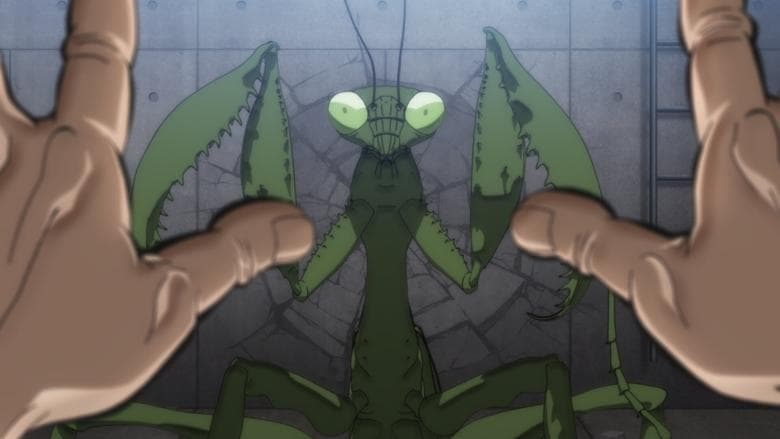 Artes marciais de diferentes espécies