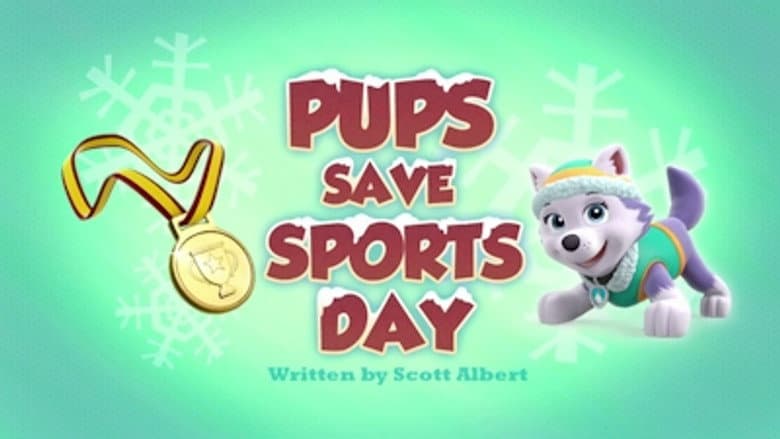 Os filhotes salvam o dia do esporte
