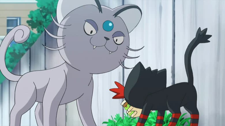 É Por Isso que Litten é um Rebelde!