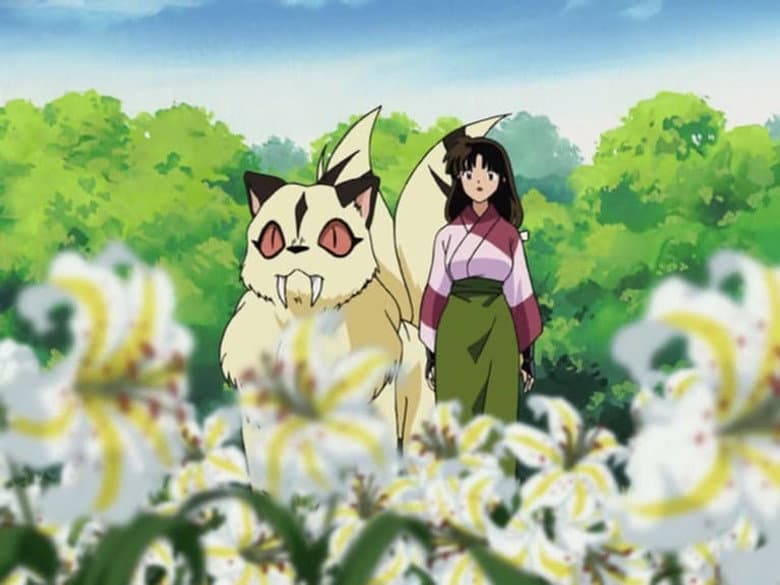 Kohaku, Sango, Kirara e o Jardim Secreto da Flor