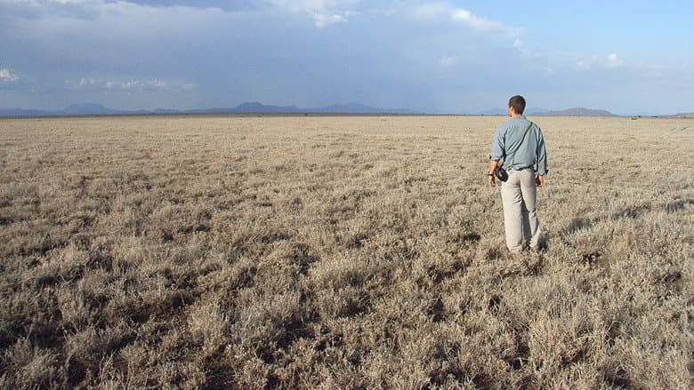 Savana africana – Quênia
