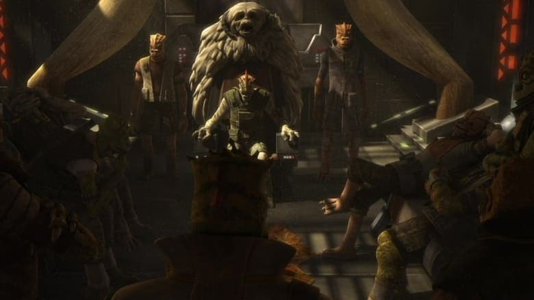 A Padawan Perdida