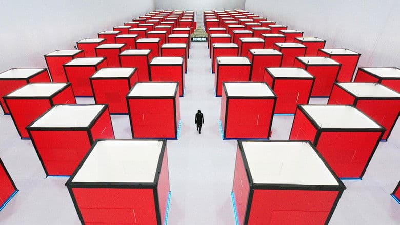 O experimento da solitária