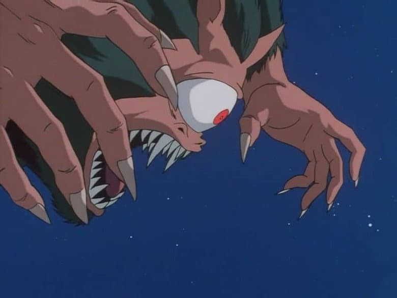 Kirara não volta