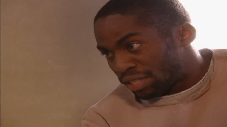 Companheiros
